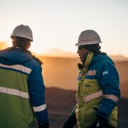 operadores para vicuña