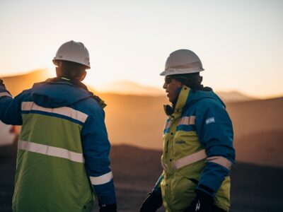 operadores para vicuña
